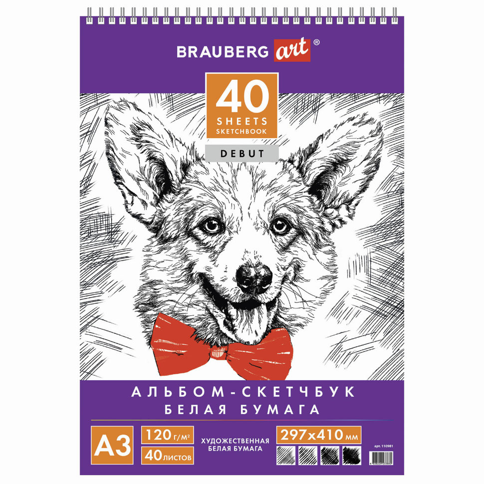 Скетчбук 297х410 мм Debut 40 листов, 120 г/м2 110981 цена за 2 шт , 